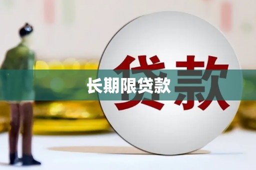 朴子长期限贷款