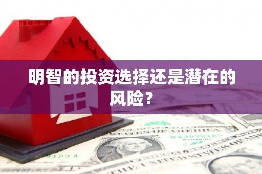 朴子明智的投资选择还是潜在的风险？
