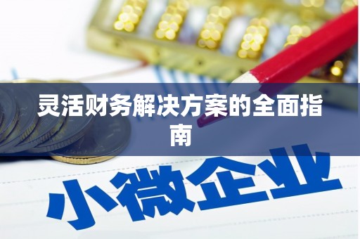 朴子灵活财务解决方案的全面指南