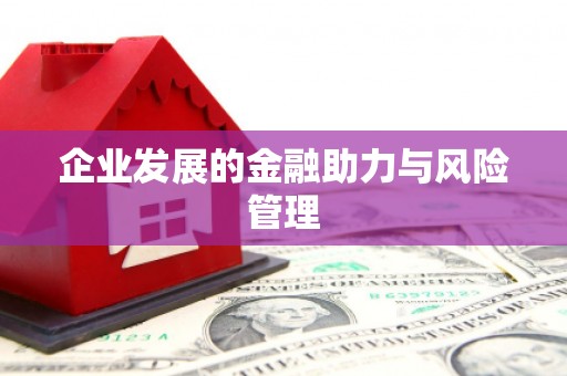 朴子企业发展的金融助力与风险管理