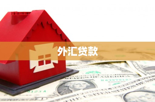 朴子外汇贷款