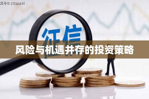 朴子风险与机遇并存的投资策略