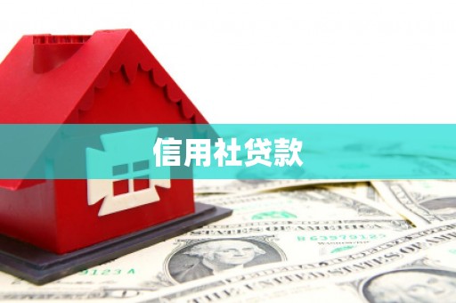 朴子信用社贷款