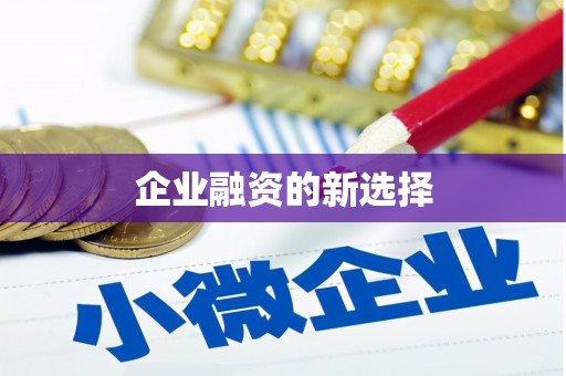 朴子企业融资的新选择