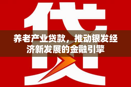 朴子养老产业贷款，推动银发经济新发展的金融引擎