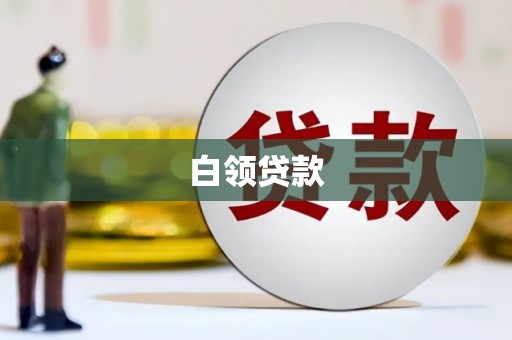 朴子白领贷款