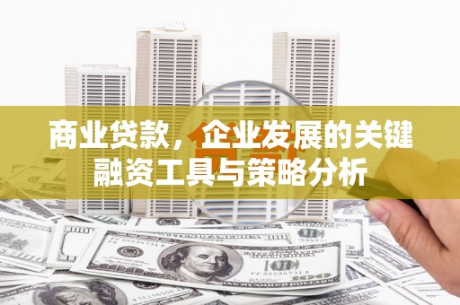 朴子商业贷款，企业发展的关键融资工具与策略分析