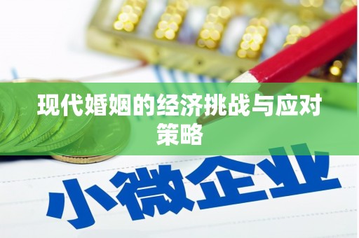 朴子现代婚姻的经济挑战与应对策略