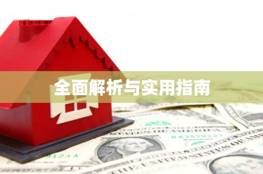 朴子全面解析与实用指南