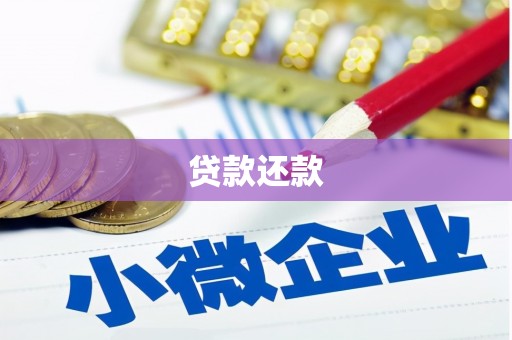 朴子贷款还款