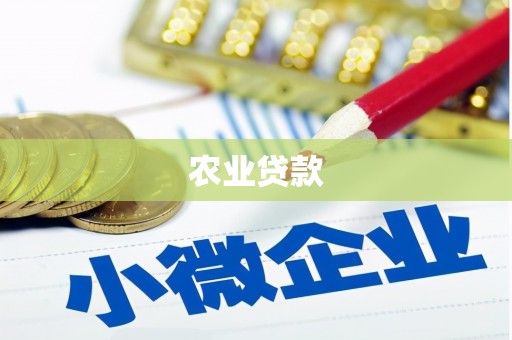 朴子农业贷款
