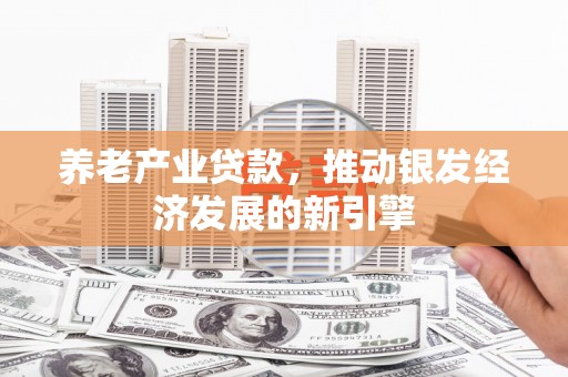 朴子养老产业贷款，推动银发经济发展的新引擎