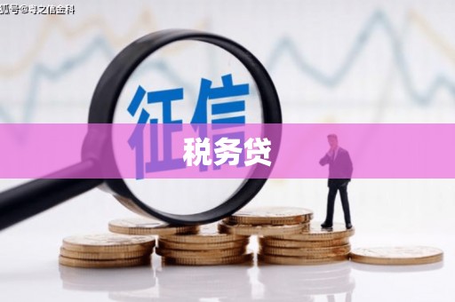 朴子税务贷