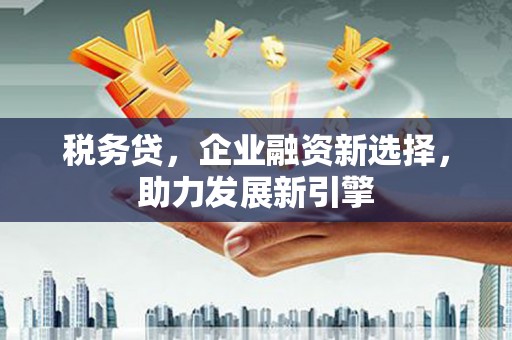 朴子税务贷，企业融资新选择，助力发展新引擎