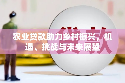 朴子农业贷款助力乡村振兴，机遇、挑战与未来展望