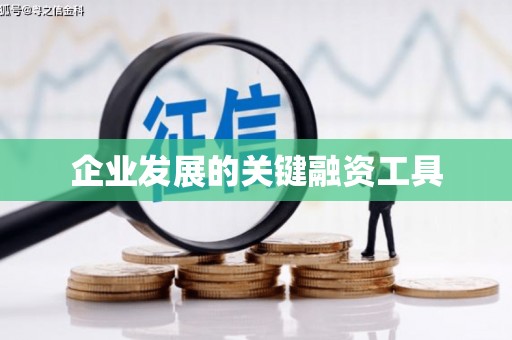 朴子企业发展的关键融资工具