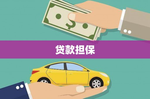 朴子贷款担保