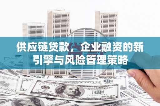 朴子供应链贷款，企业融资的新引擎与风险管理策略