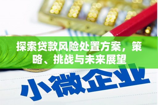 朴子探索贷款风险处置方案，策略、挑战与未来展望