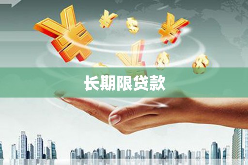 朴子长期限贷款