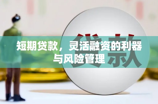 朴子短期贷款，灵活融资的利器与风险管理