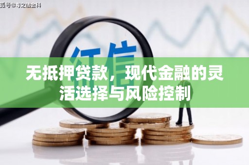 朴子无抵押贷款，现代金融的灵活选择与风险控制