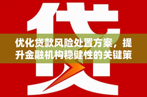 朴子优化贷款风险处置方案，提升金融机构稳健性的关键策略