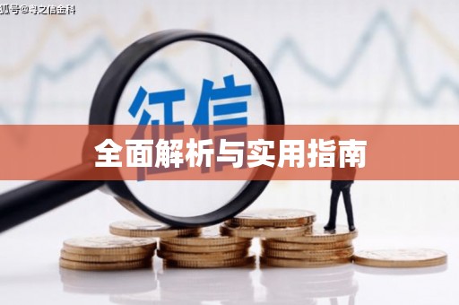 朴子全面解析与实用指南