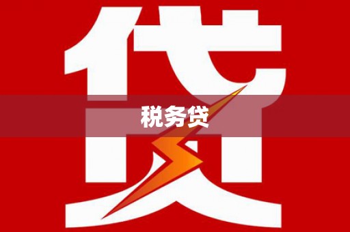 朴子税务贷