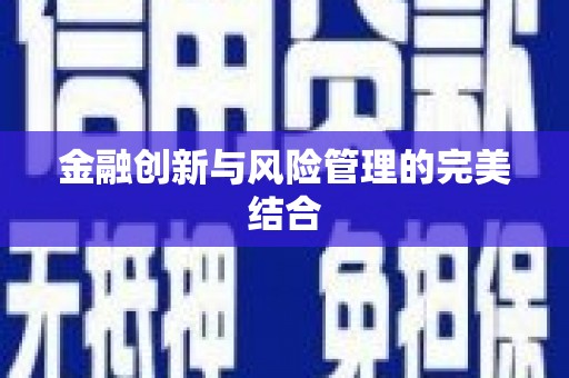 朴子金融创新与风险管理的完美结合