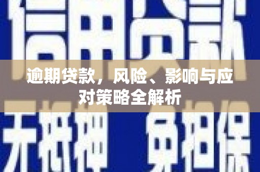 朴子逾期贷款，风险、影响与应对策略全解析