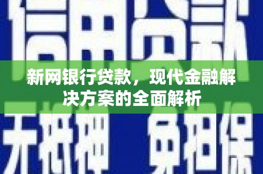 朴子新网银行贷款，现代金融解决方案的全面解析