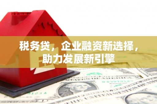 朴子税务贷，企业融资新选择，助力发展新引擎