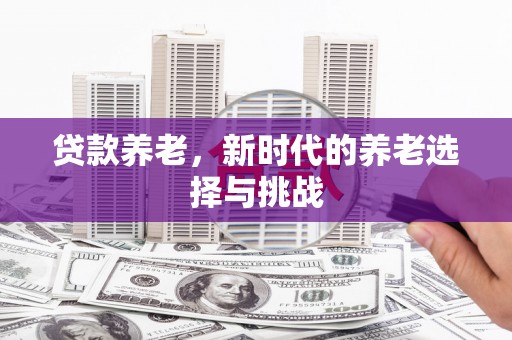 朴子贷款养老，新时代的养老选择与挑战