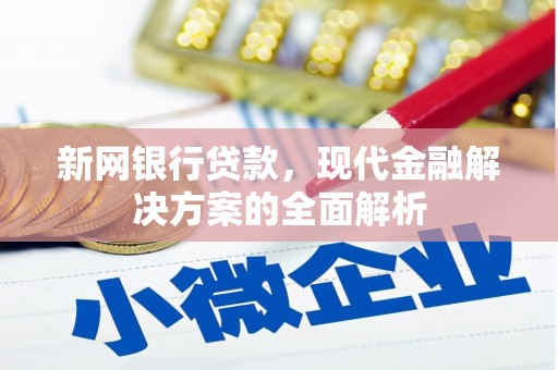 朴子新网银行贷款，现代金融解决方案的全面解析