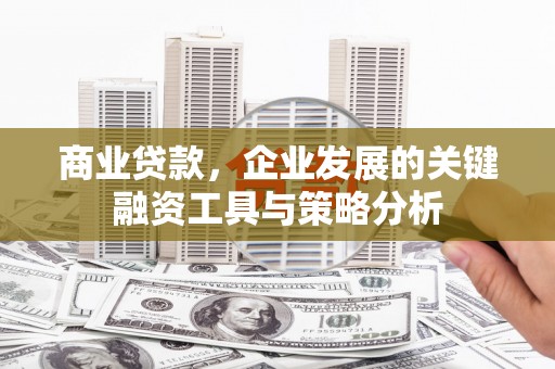 朴子商业贷款，企业发展的关键融资工具与策略分析