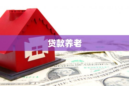 朴子贷款养老