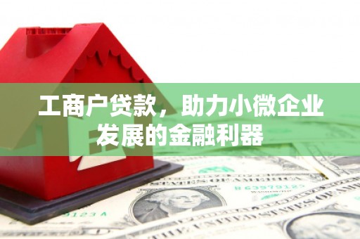 朴子工商户贷款，助力小微企业发展的金融利器