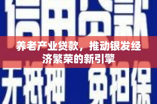 朴子养老产业贷款，推动银发经济繁荣的新引擎