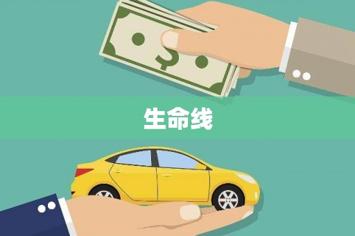 朴子生命线