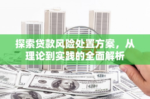 朴子探索贷款风险处置方案，从理论到实践的全面解析