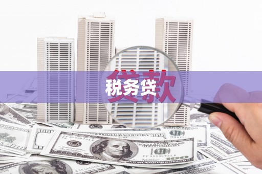 朴子税务贷