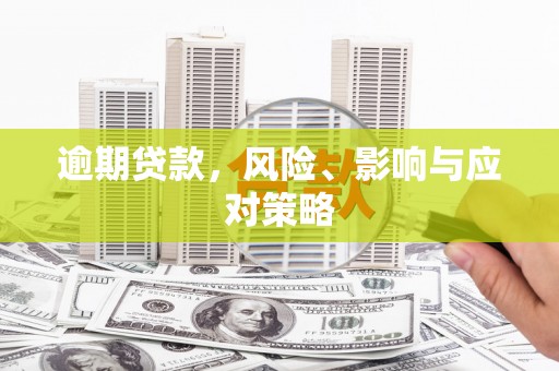 朴子逾期贷款，风险、影响与应对策略