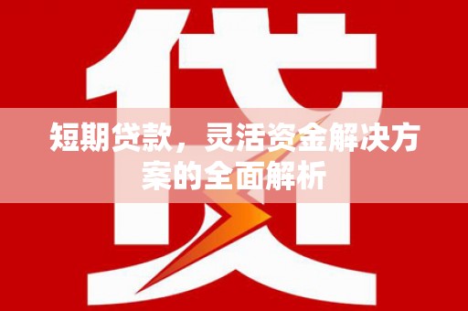 朴子短期贷款，灵活资金解决方案的全面解析