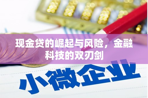 朴子现金贷的崛起与风险，金融科技的双刃剑