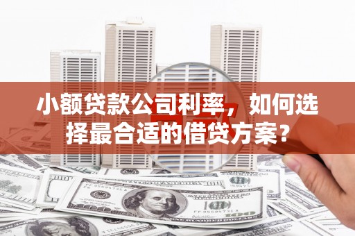朴子小额贷款公司利率，如何选择最合适的借贷方案？