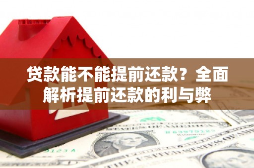朴子贷款能不能提前还款？全面解析提前还款的利与弊