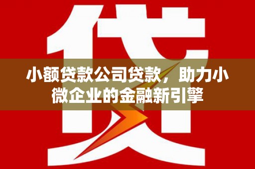 朴子小额贷款公司贷款，助力小微企业的金融新引擎