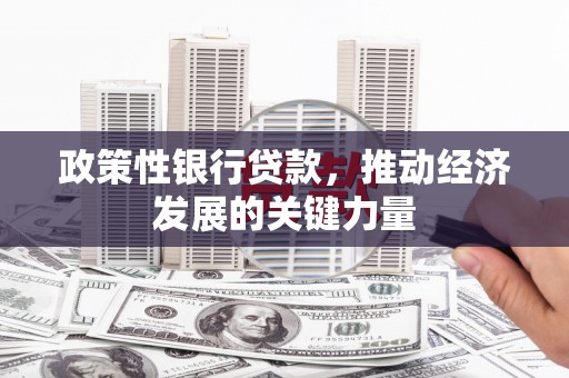 朴子政策性银行贷款，推动经济发展的关键力量