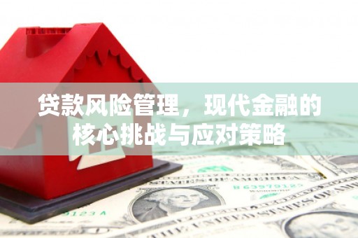 朴子贷款风险管理，现代金融的核心挑战与应对策略